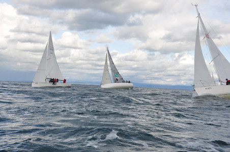 DSC_8942.JPG